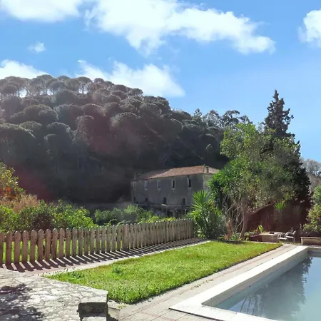 Bicentennial House In With Mountain View And Pool Vakantiehuis Porto de Mós